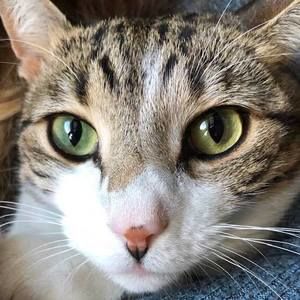 Meet your Posher, Joy